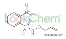 2-nitro-n-prop-2-enoxybenzenesulfonamide