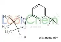2-(4,4,5,5-tetramethyl-1,3,2-dioxaborolan-2-yl)-6-(trifluoromethyl)pyridine