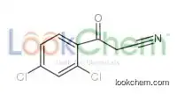 3-(2,4-dichlorophenyl)-3-oxopropanenitrile