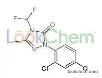 2-(2,4-dichlorophenyl)-4-(difluoromethyl)-5-methyl-1,2,4-triazol-3-one