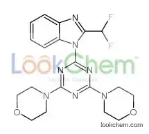 4-[4-[2-(difluoromethyl)benzimidazol-1-yl]-6-morpholin-4-yl-1,3,5-triazin-2-yl]morpholine