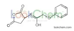 N-[(3r)-2,5-dioxooxolan-3-yl]-2-phenoxyacetamide