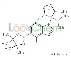 [4-chloro-5-(4,4,5,5-tetramethyl-1,3,2-dioxaborolan-2-yl)pyrrolo[2,3-b]pyridin-1-yl]-tri(propan-2-yl)silane