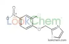 2-[(2-chloro-4-nitrophenoxy)methyl]-1,3-thiazole