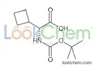 Boc-d-cyclobutylglycine