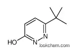 3-tert-butyl-1h-pyridazin-6-one