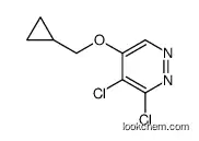3,4-dichloro-5-(cyclopropylmethoxy)pyridazine
