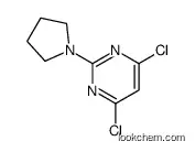 4,6-dichloro-2-pyrrolidin-1-ylpyrimidine