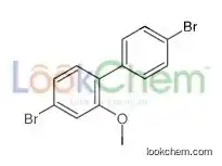 4-bromo-1-(4-bromophenyl)-2-methoxybenzene