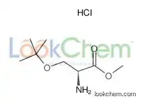 Methyl (2s)-2-amino-3-[(2-methylpropan-2-yl)oxy]propanoate