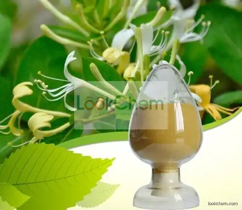 Eucommia Ulmoides Extract