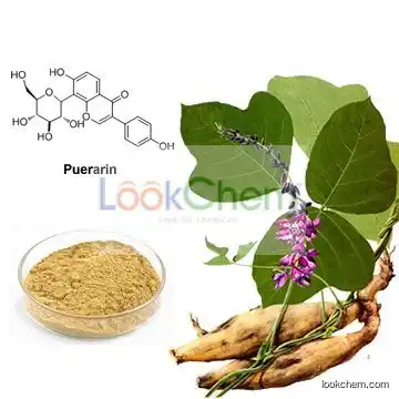 Pueraria Extract