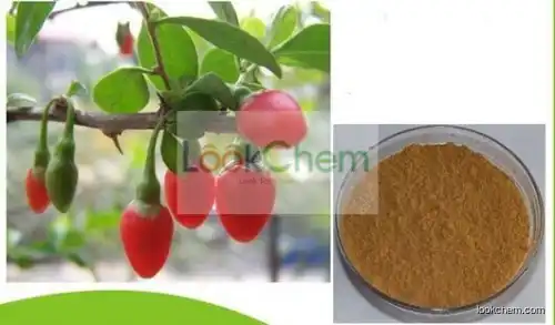 Wolfberry fruit Extract