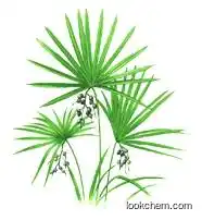 Saw palmetto extract-Antisepsis