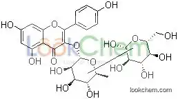 Kaempeerol-3-O-glucorhamnoside