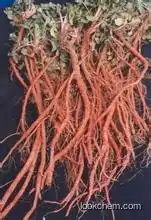 danshen root extract / salvia extract
