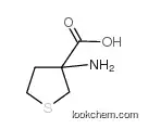 3-amino-tetrahydro-thiophene-3-carboxylic Acid
