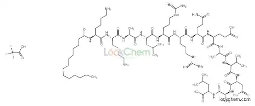 Autocamtide 2-related Inhibitory Peptide