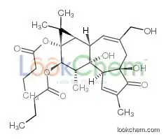 Phorbol 12,13-dibutyrate,(1ar,1bs,4ar,7as,7bs,8r,9r,9as)-1a,1b,4,4a,5,7a,7b,8,9,9a-decahydro-4a,7b-dihydroxy-3-(hydroxymethyl)-1