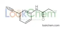 2-chloro-n-(3-cyanophenyl)acetamide