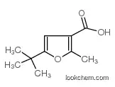 5-tert-butyl-2-methylfuran-3-carboxylic Acid