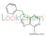 6-chloro-9-benzylpurine