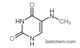 5-(methylamino)-1h-pyrimidine-2,4-dione
