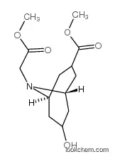 Methyl 3-(methoxycarbonyl)-7-oxo-9-azabicyclo[3.3.1]nonane-9-acetate