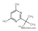 2-tert-butyl-4-hydroxy-1h-pyrimidin-6-one