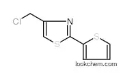4-(chloromethyl)-2-thiophen-2-yl-1,3-thiazole