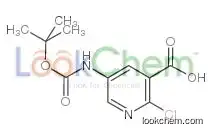 2-chloro-5-[(2-methylpropan-2-yl)oxycarbonylamino]pyridine-3-carboxylic Acid