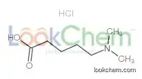 5-(dimethylamino)pentanoic Acid,hydrochloride