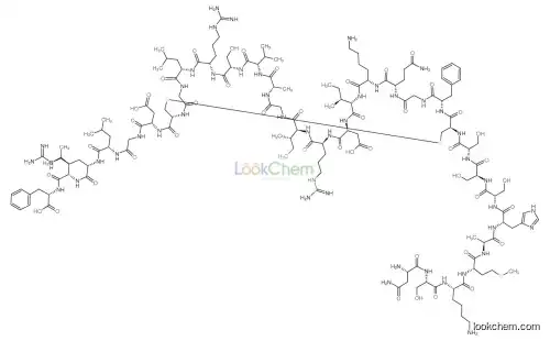 Brain Natriuretic Peptide-32 Rat