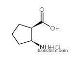 (1R,2S)-(-)-2-Amino-1-cyclopentanecarboxylic acid hydrochloride