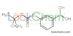 3-t-Butoxycarboxyphenylboronic acid