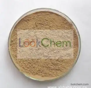 Mulberry Leaf extract powder active ingredients of DNJ /mulberry leaf powder