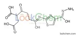 2-[4-[[4-(hydrazinecarbonyl)-1,3-thiazol-2-yl]amino]-4-oxobutanoyl]butanedioic acid