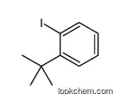 1-tert-butyl-2-iodobenzene