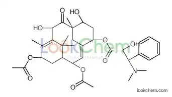 TAXINE