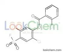 (2,5-dichloro-4-fluorosulfonylphenyl) 2-chlorobenzoate