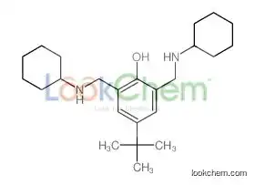 4-tert-butyl-2,6-bis[(cyclohexylamino)methyl]phenol