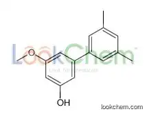 3-(3,5-dimethylphenyl)-5-methoxyphenol