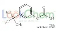 (3-tert-butylphenyl) N-methylcarbamate