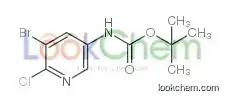 tert-butyl N-(5-bromo-6-chloropyridin-3-yl)carbamate
