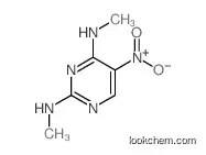 2-N,4-N-dimethyl-5-nitropyrimidine-2,4-diamine