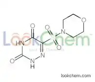 6-morpholin-4-ylsulfonyl-2H-1,2,4-triazine-3,5-dione
