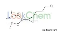 2-[2-(3-chloropropyl)cyclopropyl]-4,4,5,5-tetramethyl-1,3,2-dioxaborolane