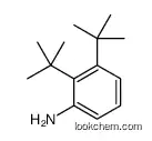 2,3-ditert-butylaniline