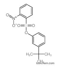 (3-tert-butylphenyl) 2-nitrobenzenesulfonate