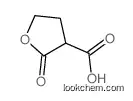 2-oxooxolane-3-carboxylic acid
